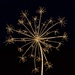 Nature's FireworksDSC_9124 by merrelyn