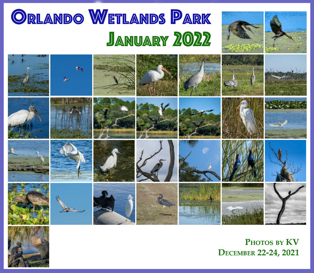 Orlando Wetlands Park by kvphoto