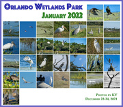 31st Jan 2022 - Orlando Wetlands Park