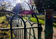 31st Jan 2022 - Rust in the park 