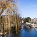 River at Godmanchester by busylady