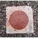 Manhole Cover by sanderling