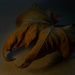 Dry leaf by haskar