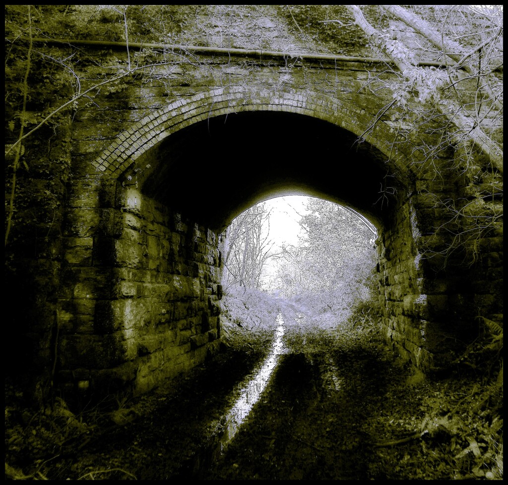 Tunnel by ajisaac