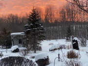30th Jan 2022 - Sunset in my backyard!