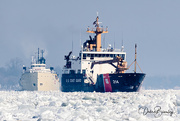 31st Jan 2022 - Cutting through the ice (USCG Hollyhock & The Alpena)