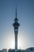 5th Jan 2022 - Early morning rise in Auckland CBD 