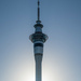 Early morning rise in Auckland CBD  by creative_shots