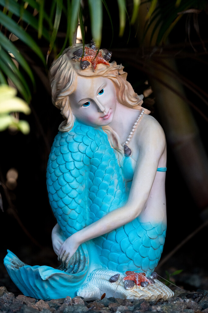 Mermaid by brotherone