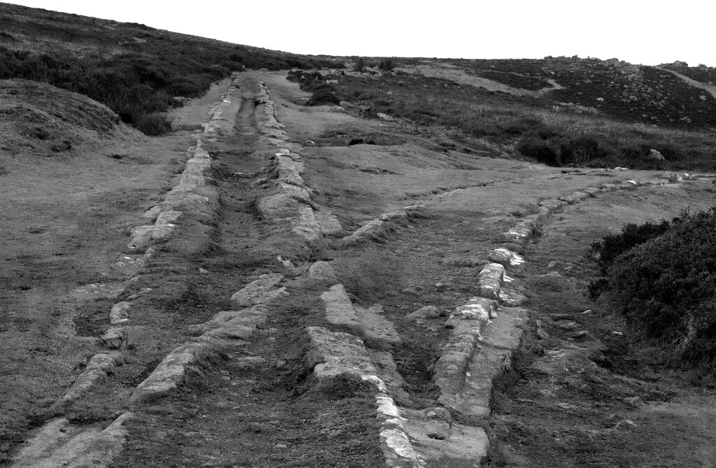 Granite Tramway Haytor Dartmoor by sjc88