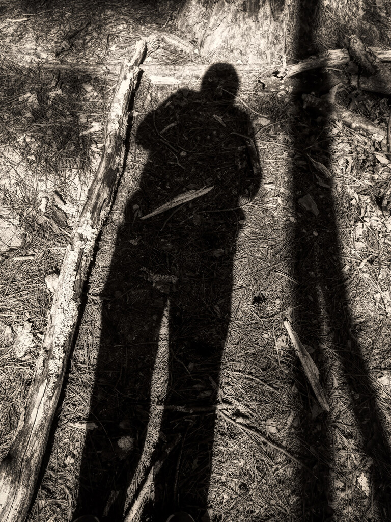 Shadow Portrait by k9photo