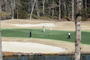 1st Feb 2022 - Feb 1 Golfers are back IMG_5226