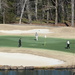 Feb 1 Golfers are back IMG_5226 by georgegailmcdowellcom