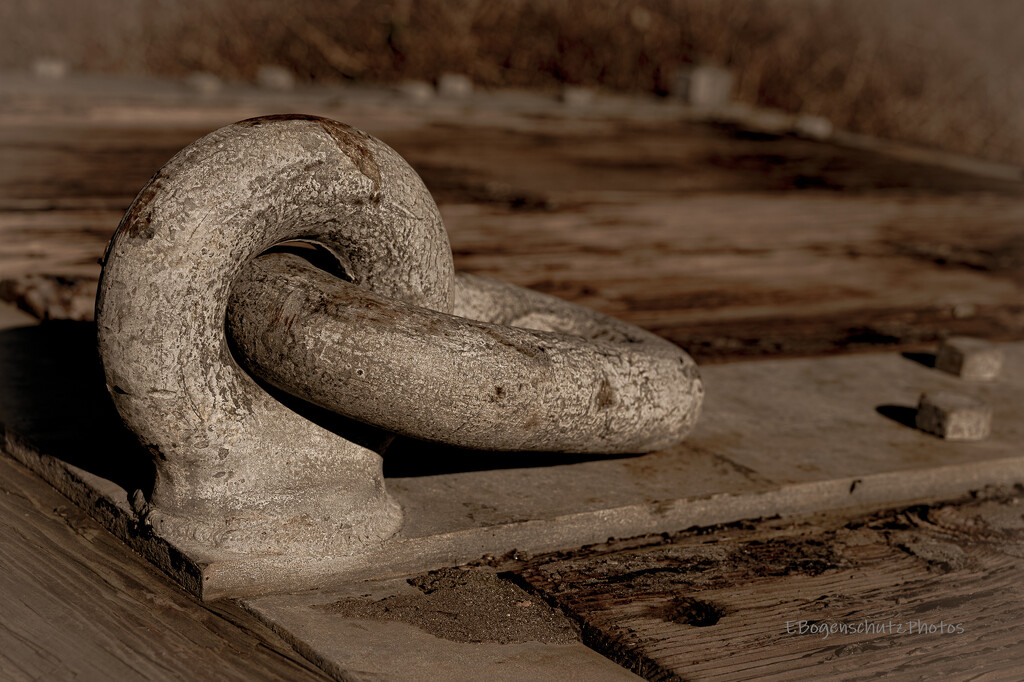 Sepia anchor by theredcamera