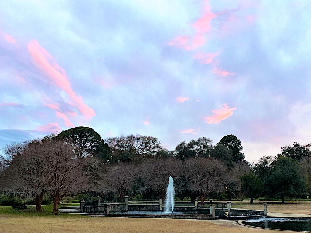 A lovely and unusual pink sunset at Hampton Park by congaree