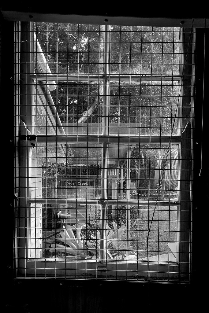 B&W: The window by jeneurell