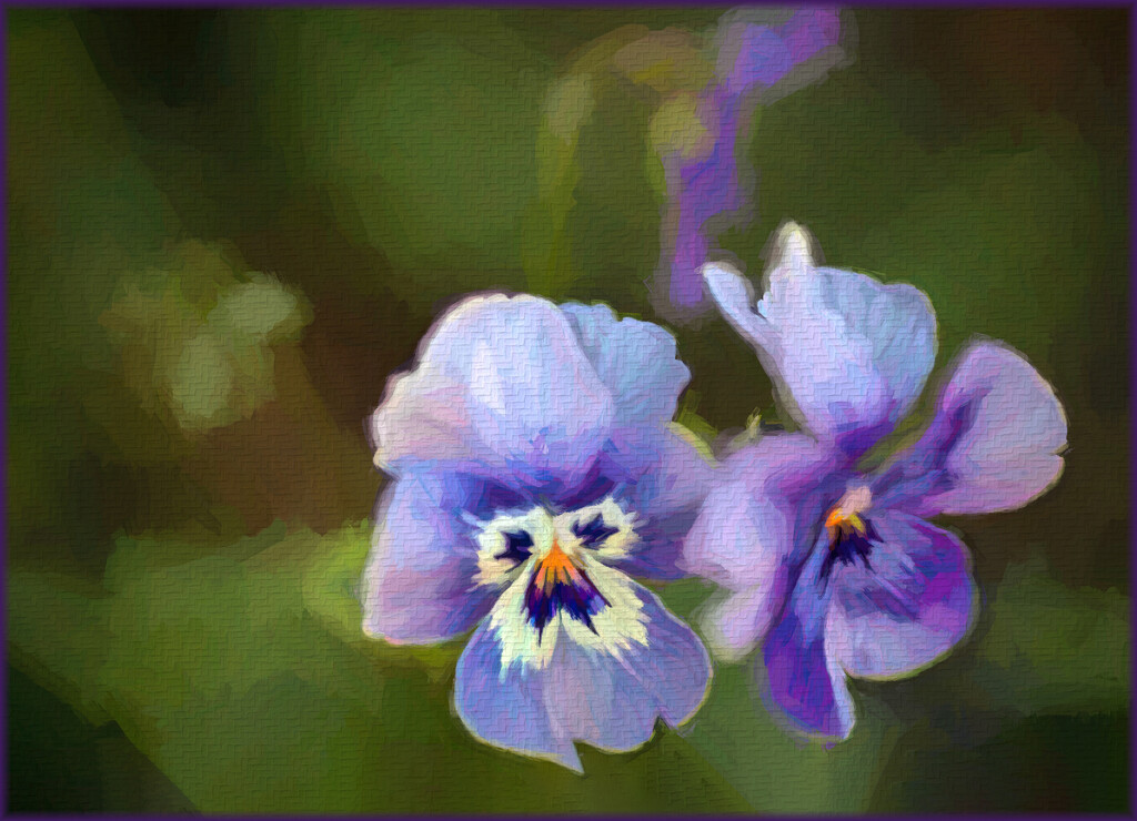 Painted Violas by ludwigsdiana