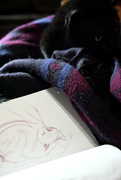 31st Jan 2022 - Sketch of cat and model