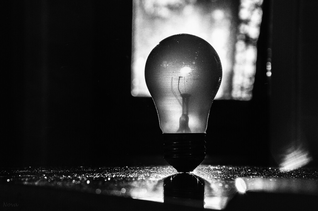 Light bulb by novab