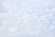 2nd Feb 2022 - Macro of snow
