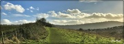 2nd Feb 2022 - On the Cotswold Way