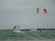 2nd Feb 2022 - Jumping in the wind