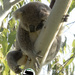 I think my foot is asleep by koalagardens