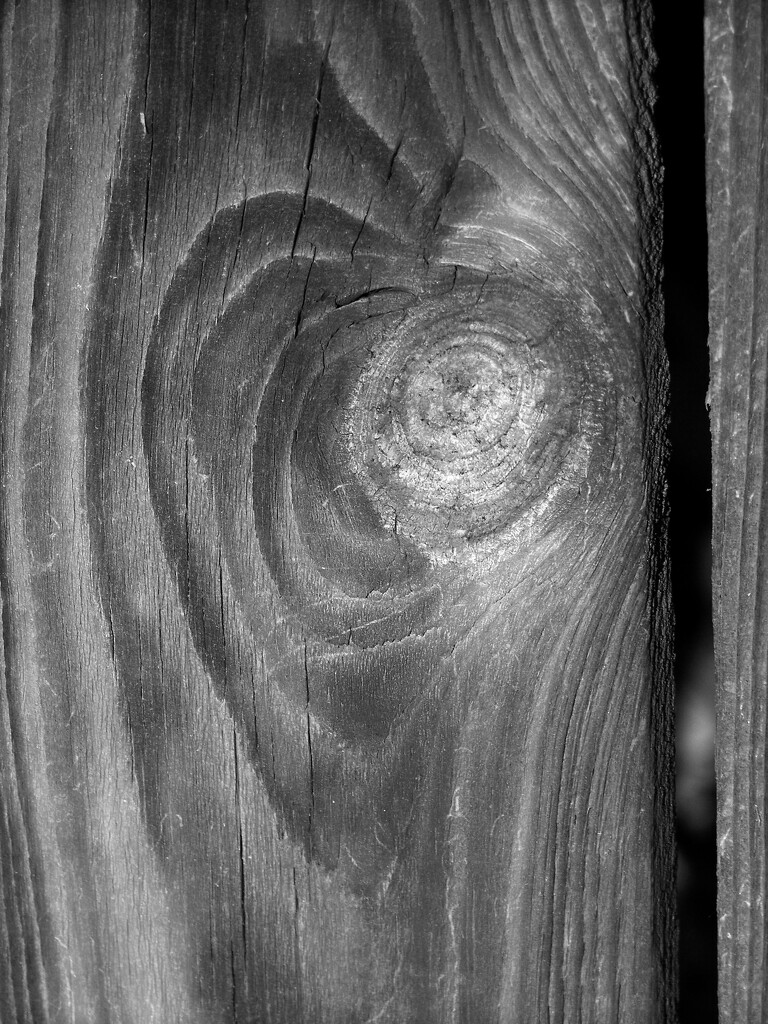 Heart in wood... by marlboromaam