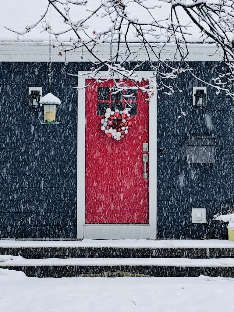 Red door by vera365