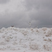 Seagulls on a Snow Pile by tosee