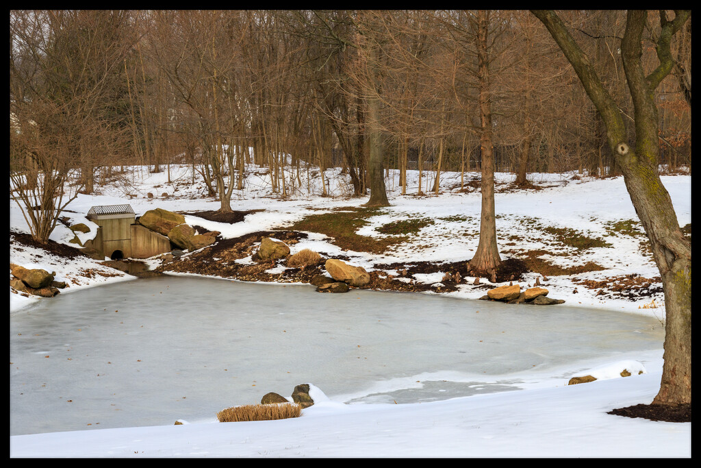 Frozen Pond by hjbenson