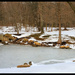 Frozen Pond by hjbenson