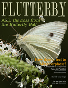 4th Feb 2022 - Flutterby Magazine Cover