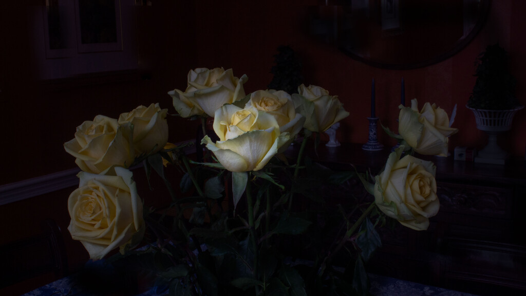 The Yellow Rose of Massachusetts by tdaug80