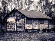 3rd Feb 2022 - 02-03 - Shed in duotone