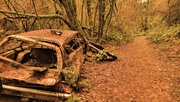1st Feb 2022 - Abandoned Car