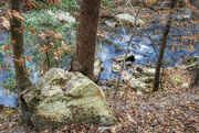 2nd Feb 2022 - Pine Log Creek