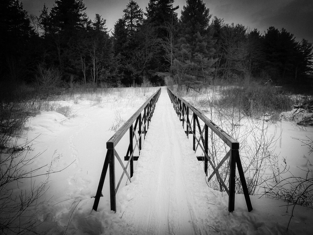 B&W Leading Lines Challenge by frantackaberry