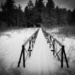 B&W Leading Lines Challenge by frantackaberry
