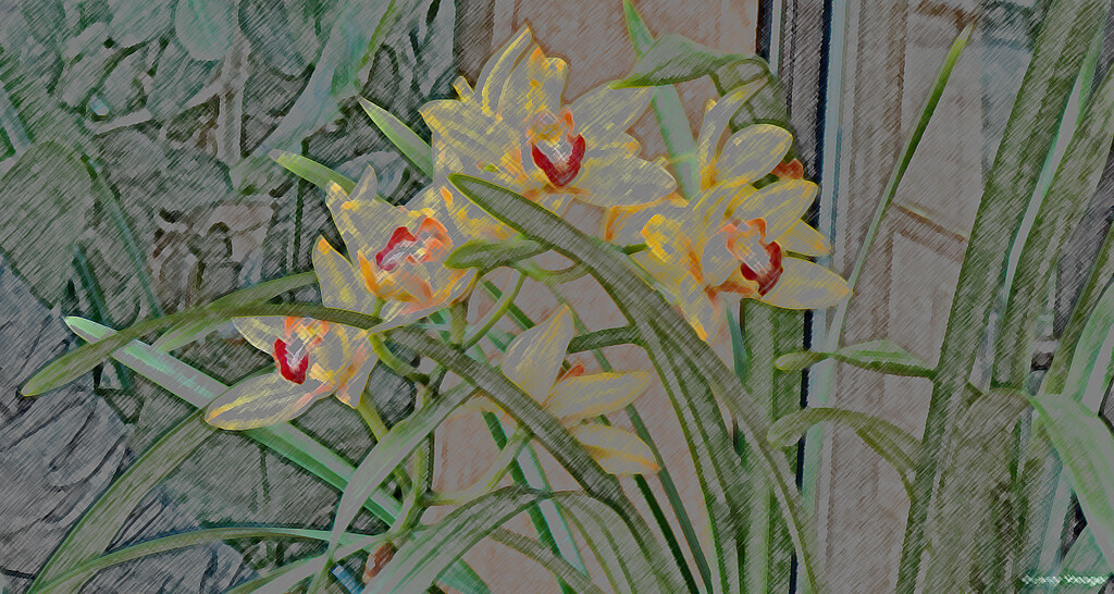 Yellow and red orchid colored pencil by larrysphotos