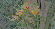 3rd Feb 2022 - Yellow and red orchid colored pencil
