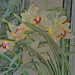 Yellow and red orchid colored pencil by larrysphotos