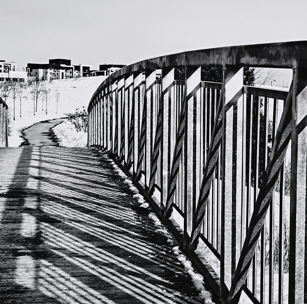 The Bridge by gardencat