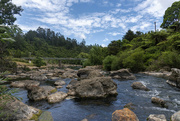 30th Jan 2022 - Ohinemuri River