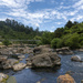 Ohinemuri River by nickspicsnz