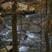 Pine Log Creek by k9photo