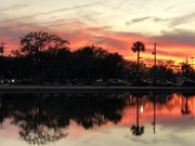 4th Feb 2022 - Lake sunset with palmetto reflection