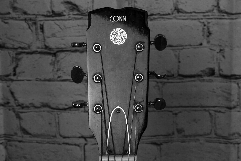 One of my guitars in B&W... by thewatersphotos