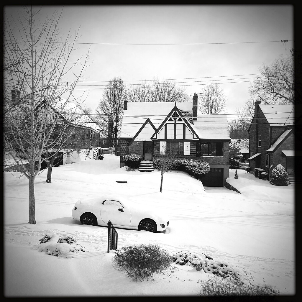 Snow Day | Black & White by yogiw