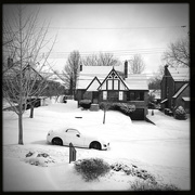 4th Feb 2022 - Snow Day | Black & White